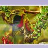 Картина голографическая два зеленых попугая 25*35см