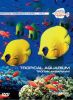 Красоты подводного мира vol.4 / Тропик-аквариум