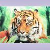 Картина голографическая Тигр 25*35см